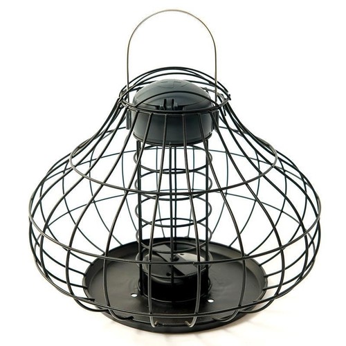 Squirrel resistant fat ball - squirrel,