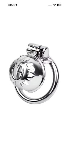 Stainless steel prince - stainless,