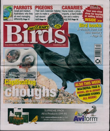 Cage and aviary birds - cage,