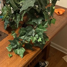 Wooden Rectangular Planter