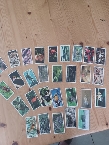 Grandee cigar cards - grandee,