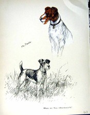 Old Vintage Print C1933 Dogs