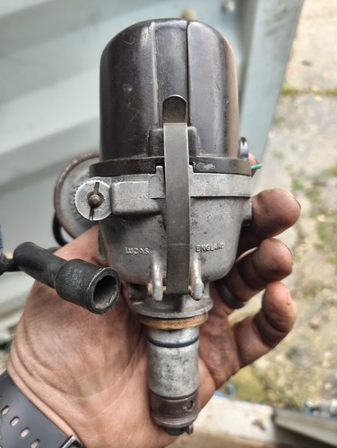 Austin mini mk1 distributor - mini,
