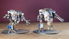 Professionally Painted Legions