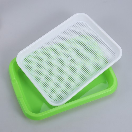 Plastic sprouter tray - sprouter,