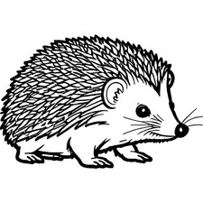 'Cute Hedgehog' Unmounted