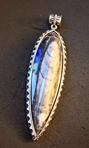 Stunning orthoceras pendant - stunning,
