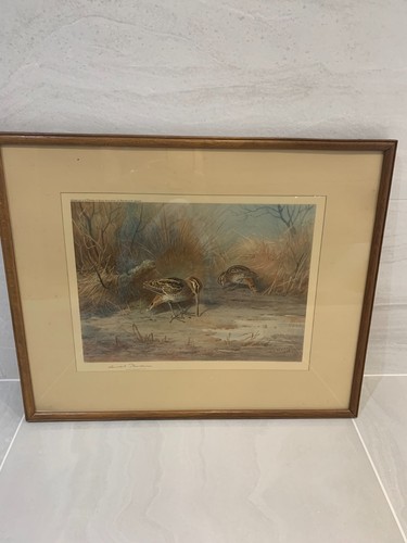 Rare framed signed - framed,