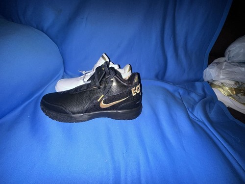 Nike zoom lebron nxxt gen - nike,