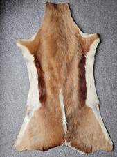 Springbok Hide Fur 42 x 94 cm