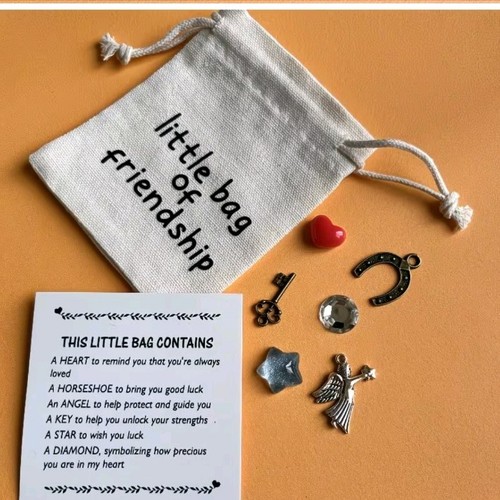Little bag friendship - little, of
