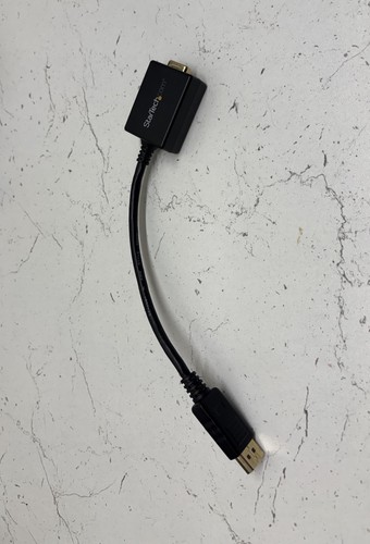 Startech display port - display,