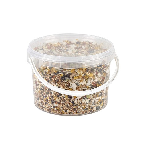 Pet ting parrot - ting, premium