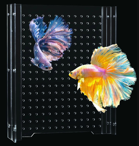 Acrylic fish tank divider - acrylic,