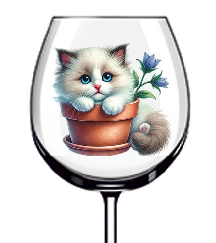 12x ragdoll cat - cat, vinyl