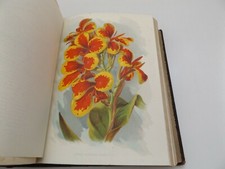 1906 The GARDENER'S ASSISTANT