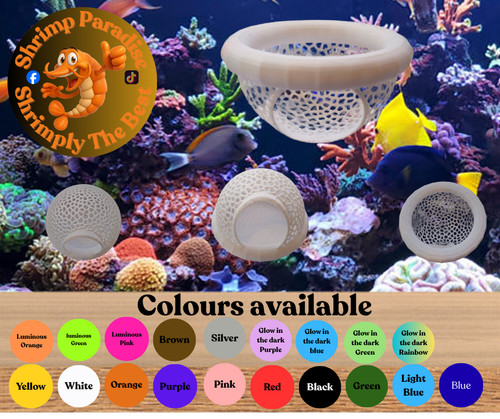 Floating betta fish shrimp - fish, &