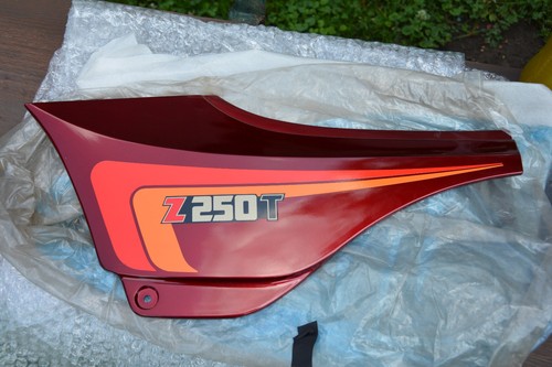 Kawasaki z250t scorpion new