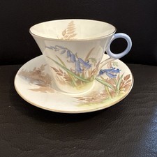 Shelley Bone China  Teacup Cup And Saucer / Regent Shape / Bluebell Woodland