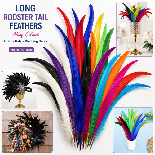 Long rooster tail feathers - rooster,