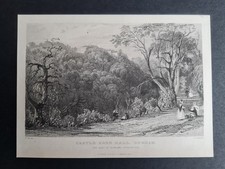 Antique 1832 print - Castle