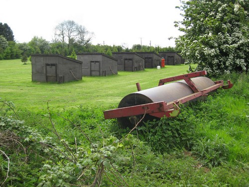 Photo 6x4 pheasant rearing - pheasant,