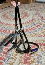 Endurance Halter with Bridle