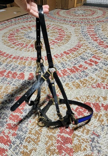 Endurance halter with - endurance,