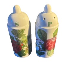 Vintage Portmeirion Pomona Salt and PEPPER Shakers Never used Mint