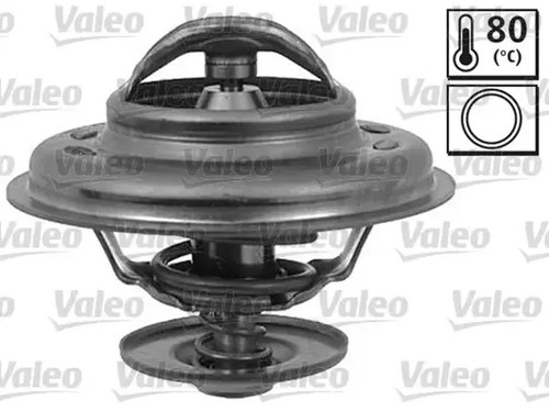 Thermostat without housing