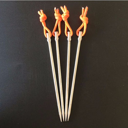Titanium tent peg spike - 4,