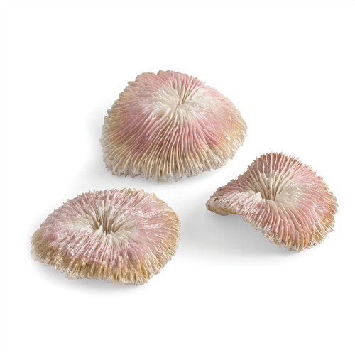 Oase biorb plate coral - plate, 3