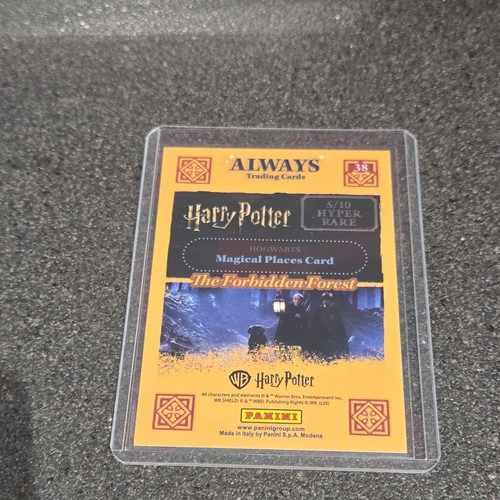 Panini harry potter always - harry,