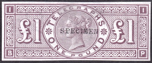1877 t17t brown lilac - sg,