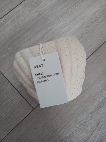 Next natural sea shell - next,