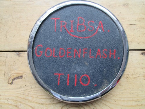 Tribsa golden flash - tribsa,