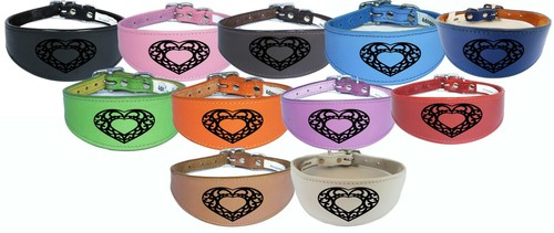 Greyhound whippet leather - greyhound,,