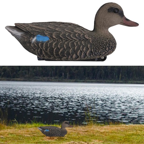 Duck decoy realistic landscape - decoy,