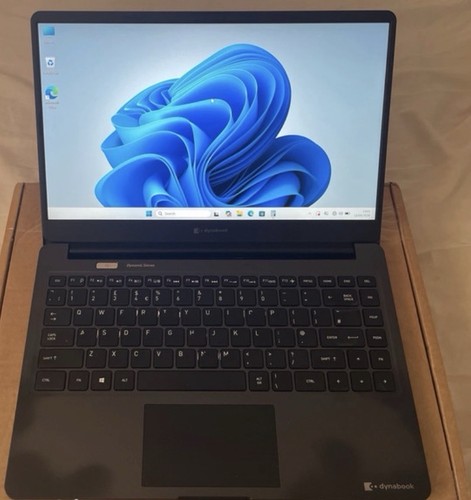 Dynabook satellite pro - satellite,