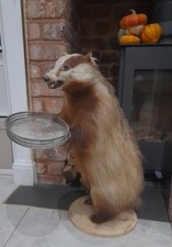 Unusual Taxidermy Dumb Waiter
