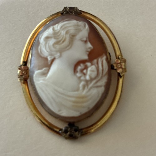 Cameo mint mark moo - mint,