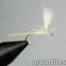 1 dozen (12) - Light Cahill -