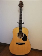 Greg Bennett D-310 Acoustic