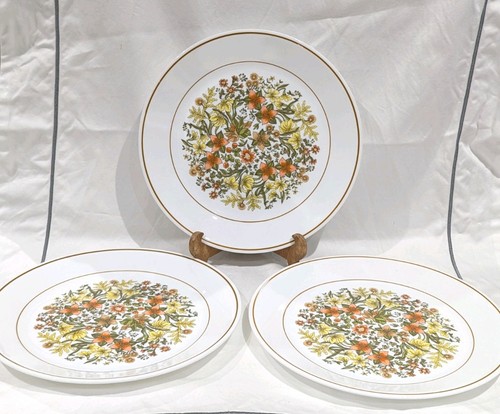 Corelle corning indian - 3,