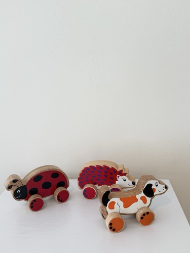 Wooden push along animals - along,