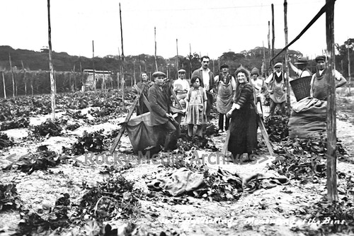 Bcm social history - social,