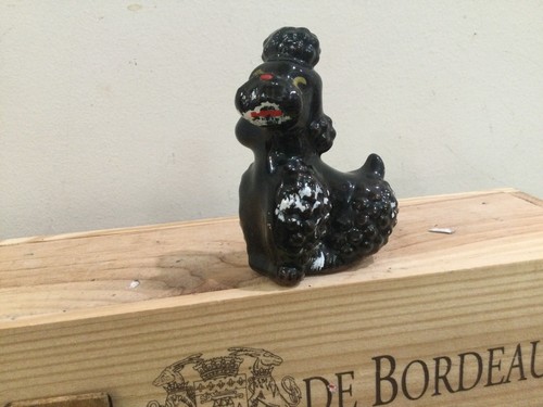 Miniature japan black poodle - miniature,