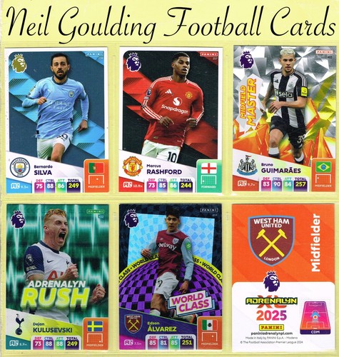 Panini adrenalyn 2024 25 - panini, 2024-25