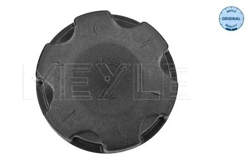 Coolant reservoir cap 314 238