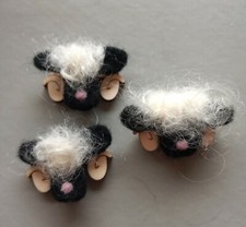 Swiss valais blacknose - swiss,